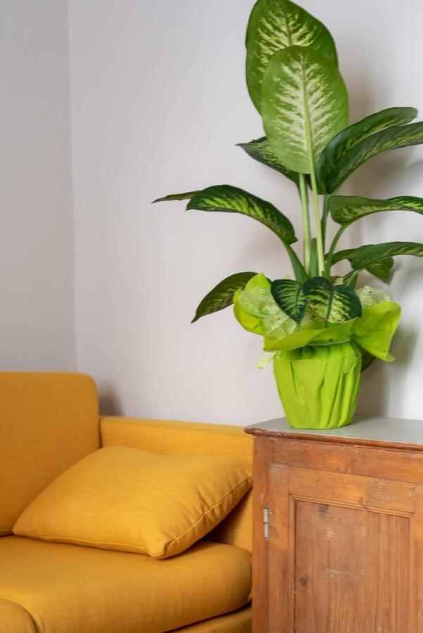 San Zanobi Family Suite In Florence Buitenkant foto